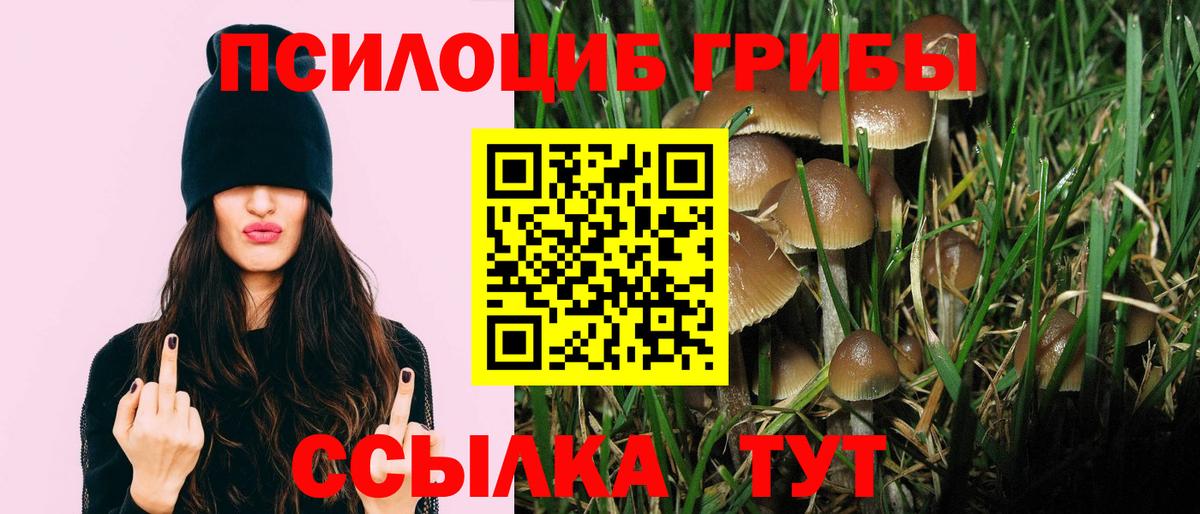 Галлюциногенные грибы GOLDEN TEACHER  Вход с VPN  Галлюциногенные грибы Magic Shrooms  Волхов 