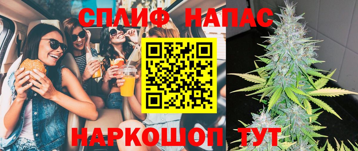Конопля тримм  Вход с VPN  Бошки марихуана Bruce Banner  Канабис индика  Волхов  МАРИХУАНА Ganja 